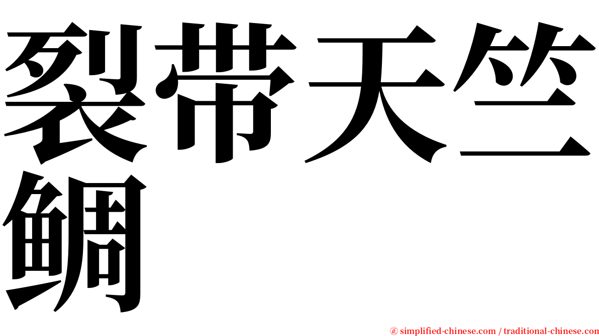 裂带天竺鲷 serif font