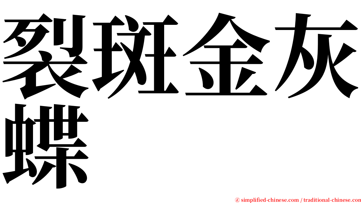 裂斑金灰蝶 serif font