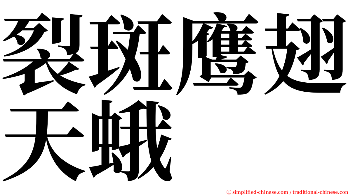 裂斑鹰翅天蛾 serif font