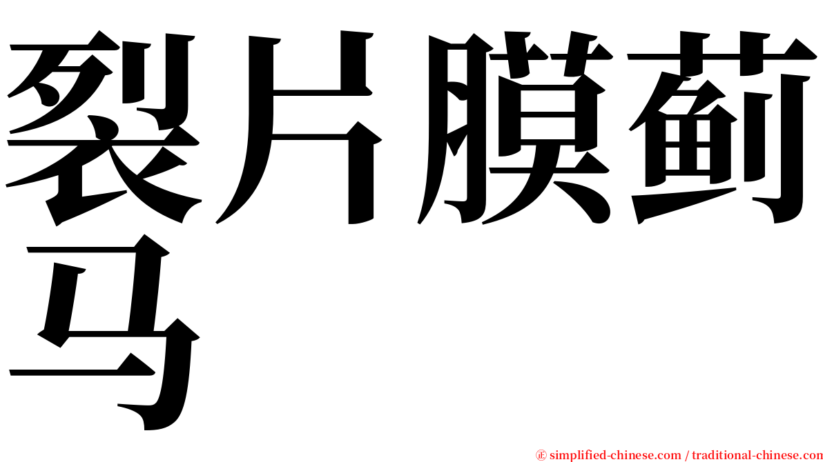 裂片膜蓟马 serif font