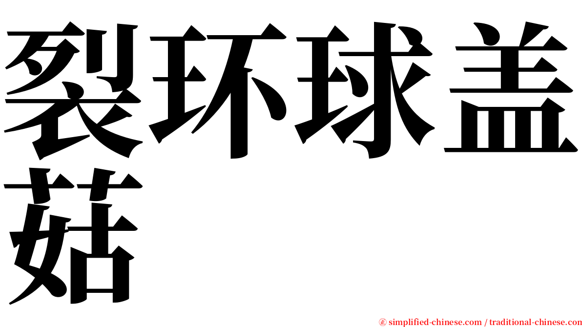 裂环球盖菇 serif font