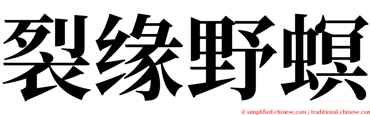 裂缘野螟 serif font