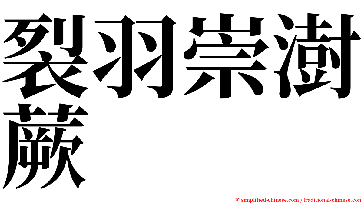 裂羽崇澍蕨 serif font