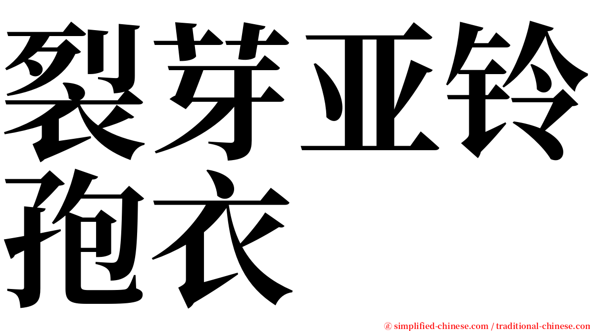 裂芽亚铃孢衣 serif font