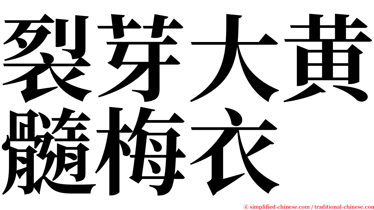 裂芽大黄髓梅衣 serif font