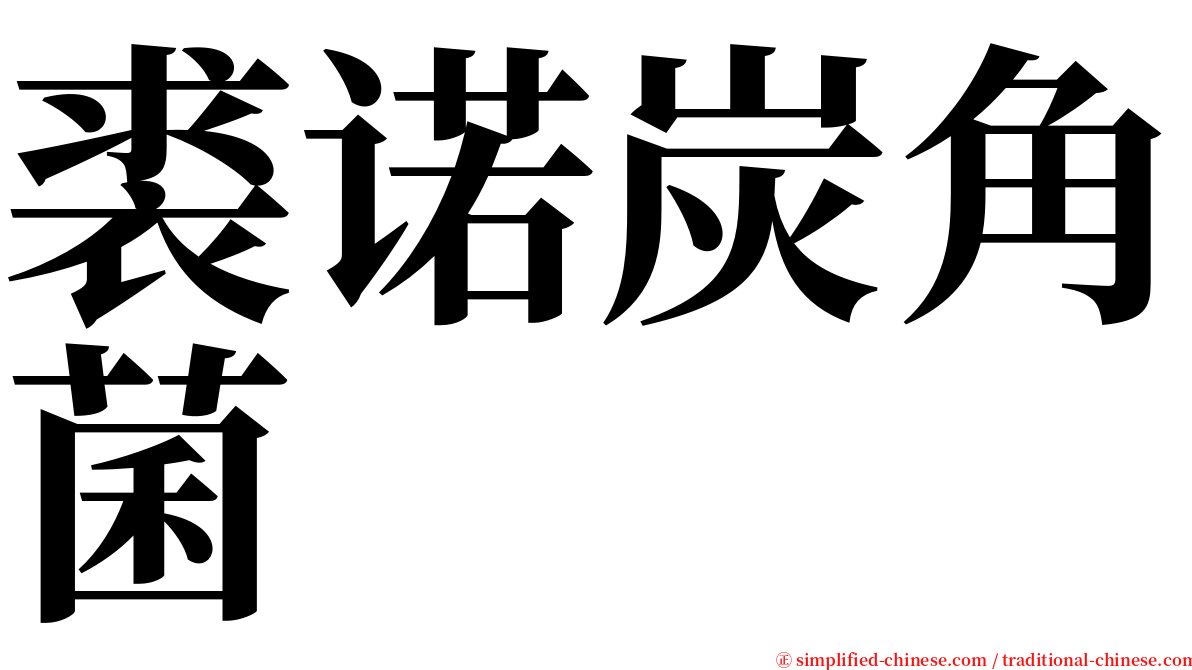 裘诺炭角菌 serif font