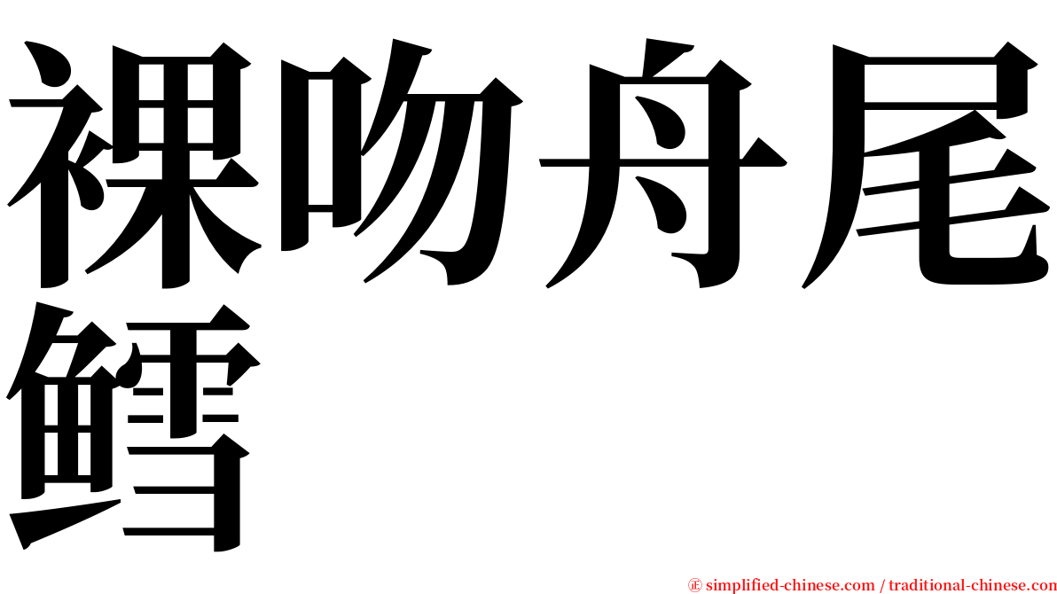 裸吻舟尾鳕 serif font