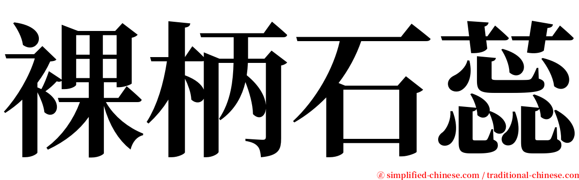 裸柄石蕊 serif font