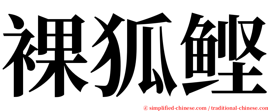 裸狐鲣 serif font