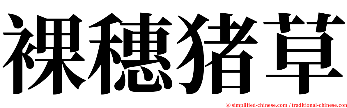 裸穗猪草 serif font