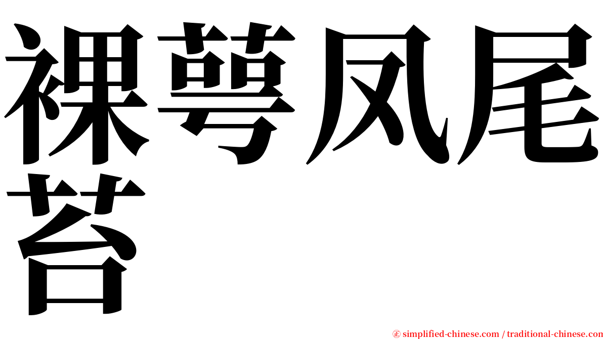 裸萼凤尾苔 serif font