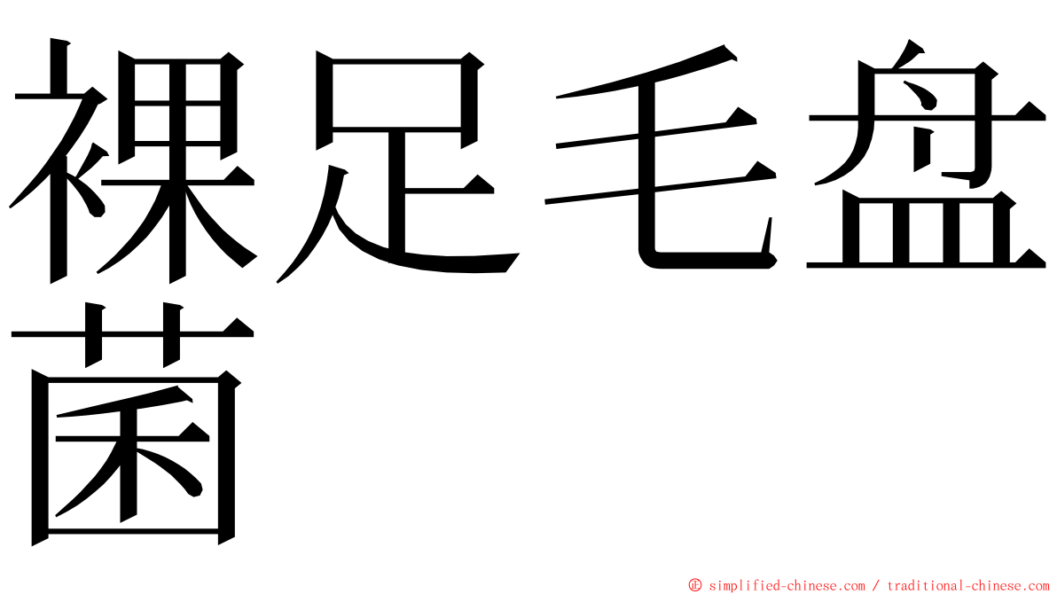 裸足毛盘菌 ming font