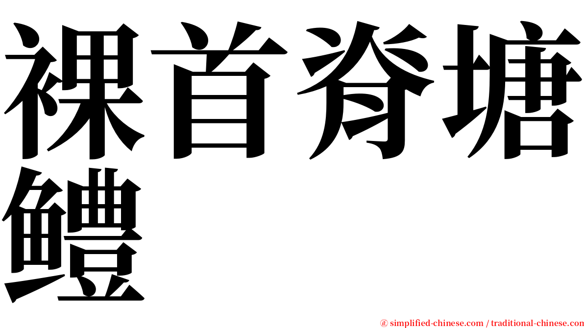 裸首脊塘鳢 serif font