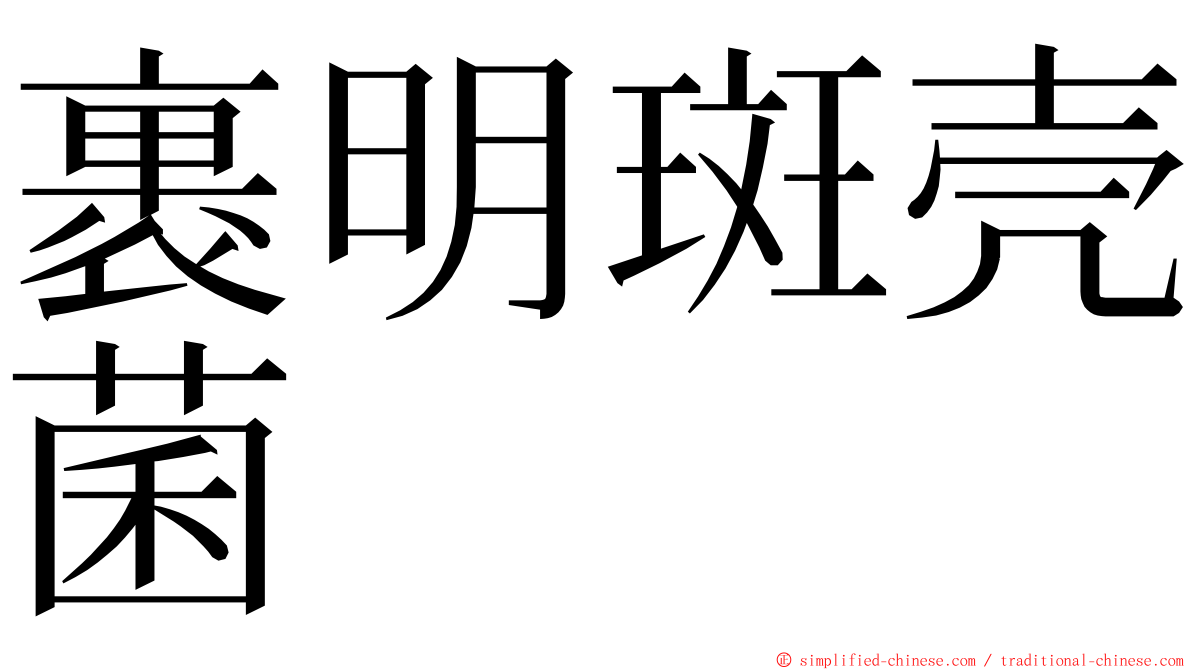 裹明斑壳菌 ming font