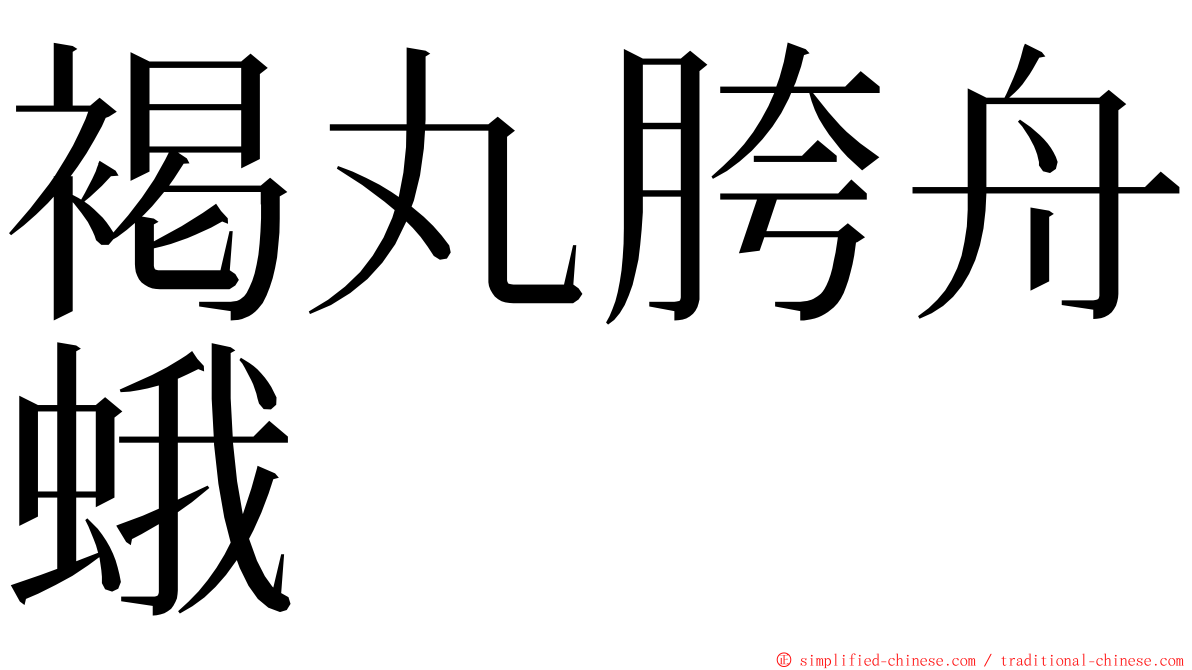 褐丸胯舟蛾 ming font