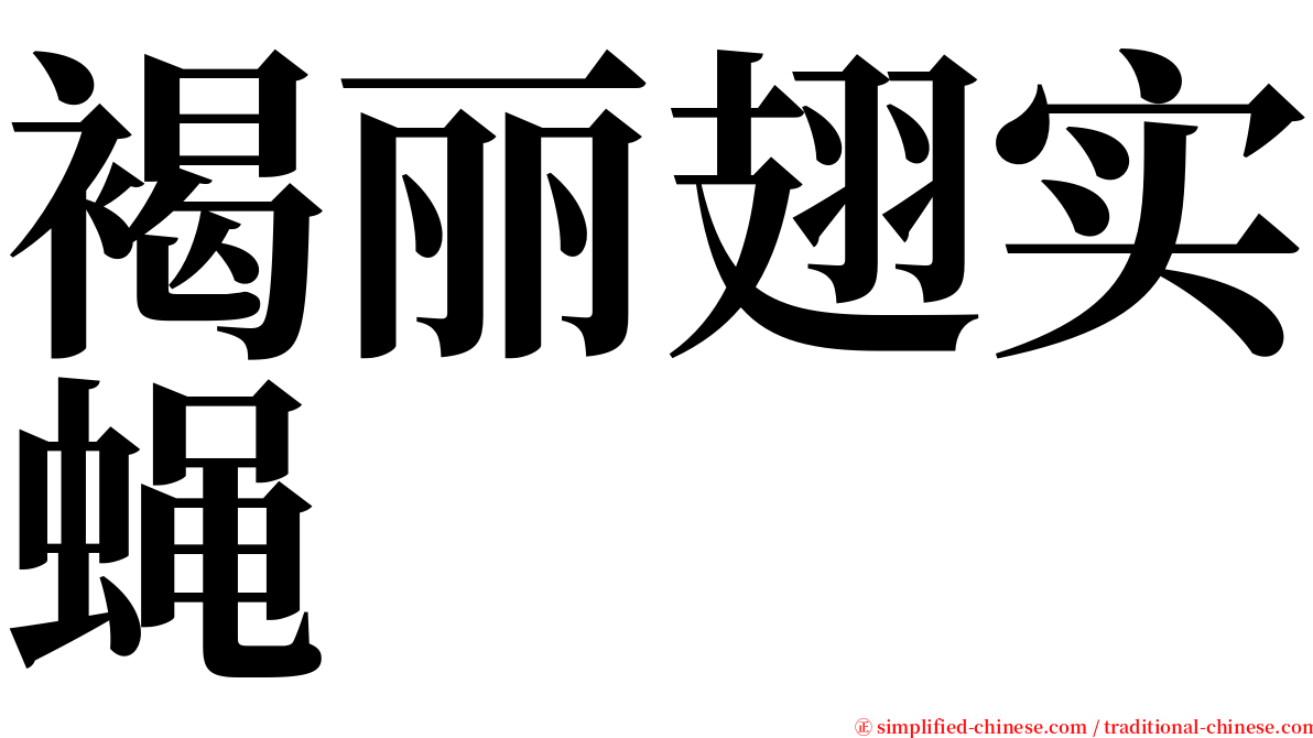 褐丽翅实蝇 serif font