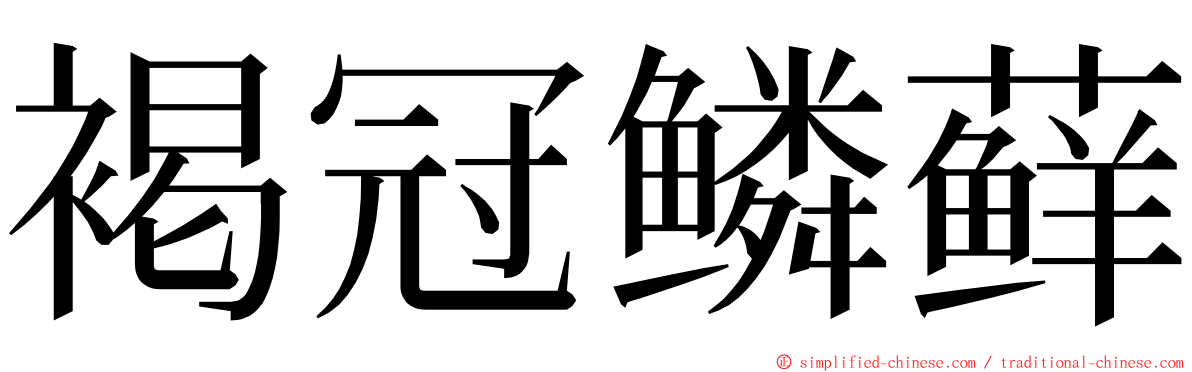 褐冠鳞藓 ming font
