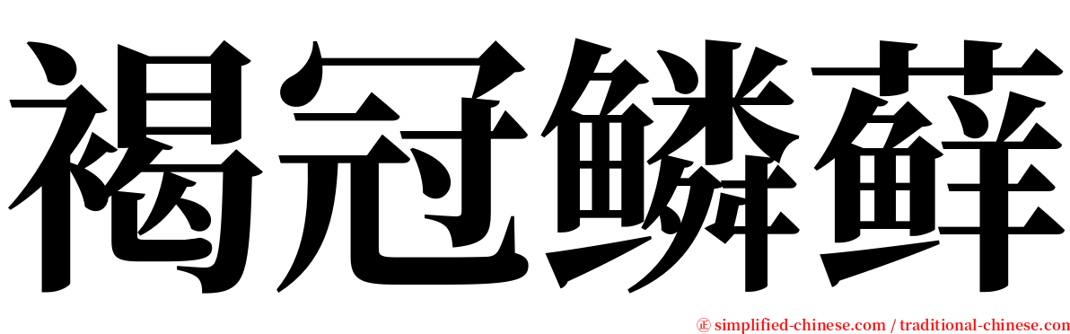 褐冠鳞藓 serif font