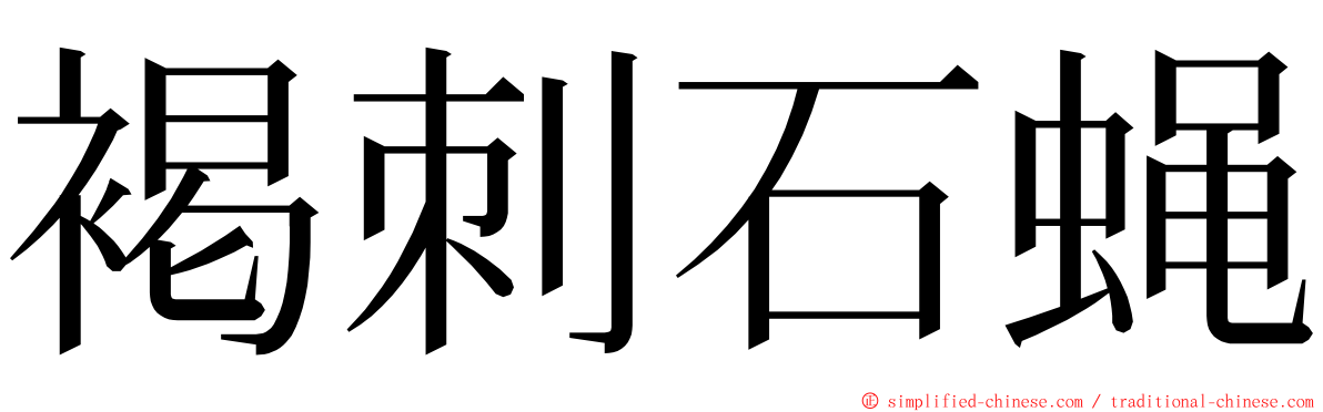 褐刺石蝇 ming font