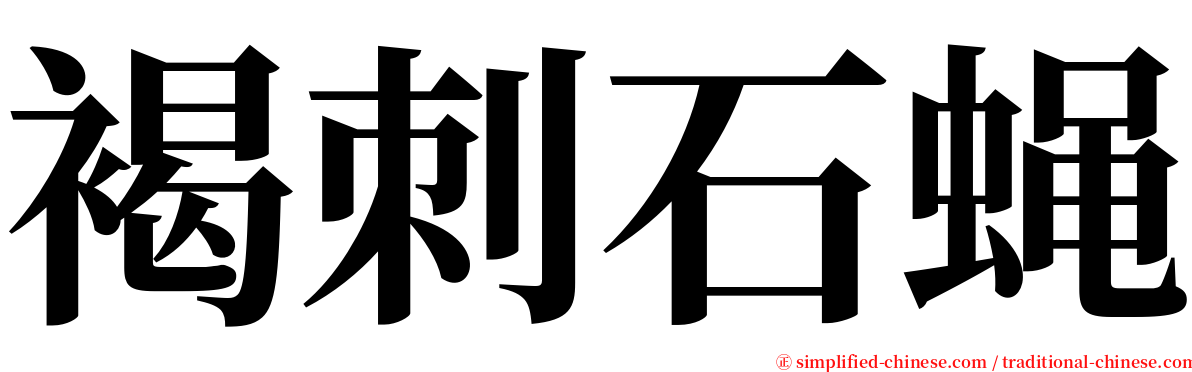 褐刺石蝇 serif font