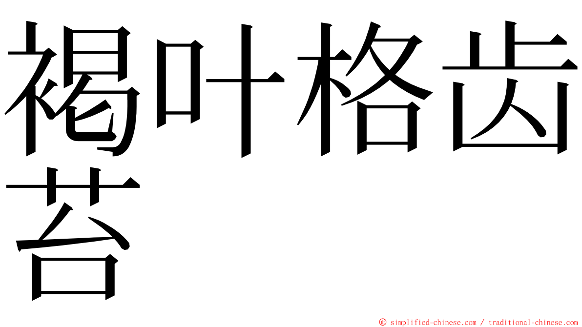 褐叶格齿苔 ming font