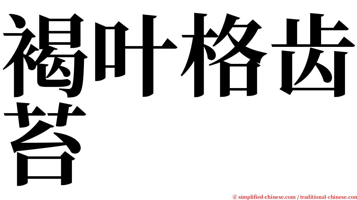 褐叶格齿苔 serif font