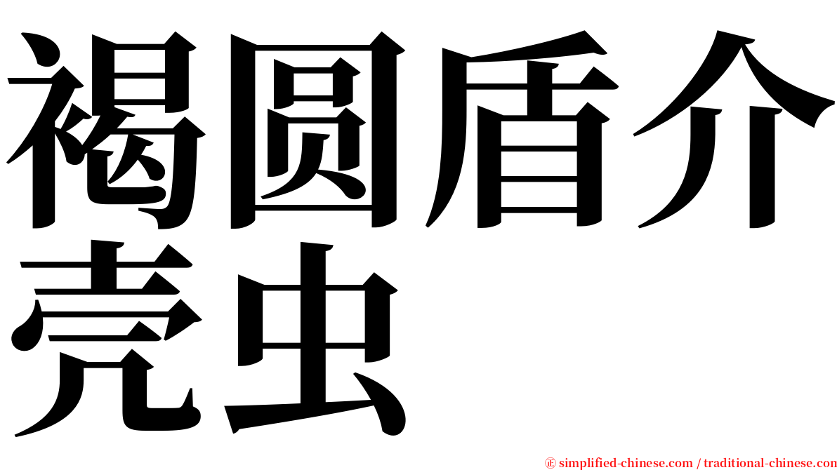 褐圆盾介壳虫 serif font