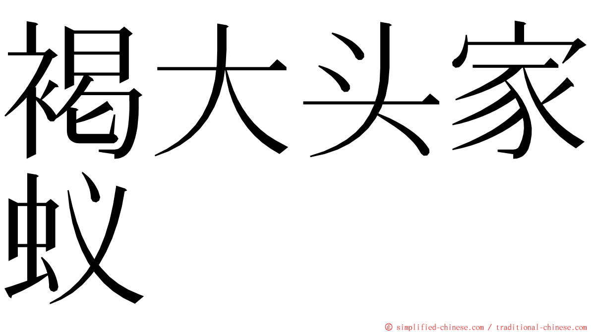 褐大头家蚁 ming font