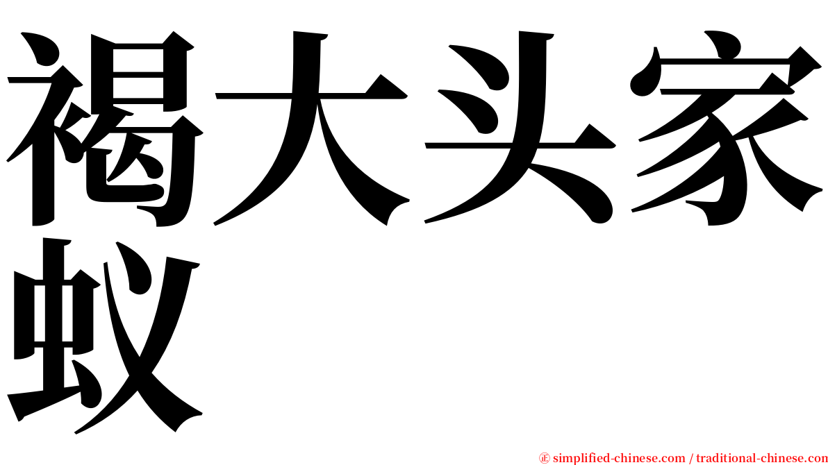 褐大头家蚁 serif font