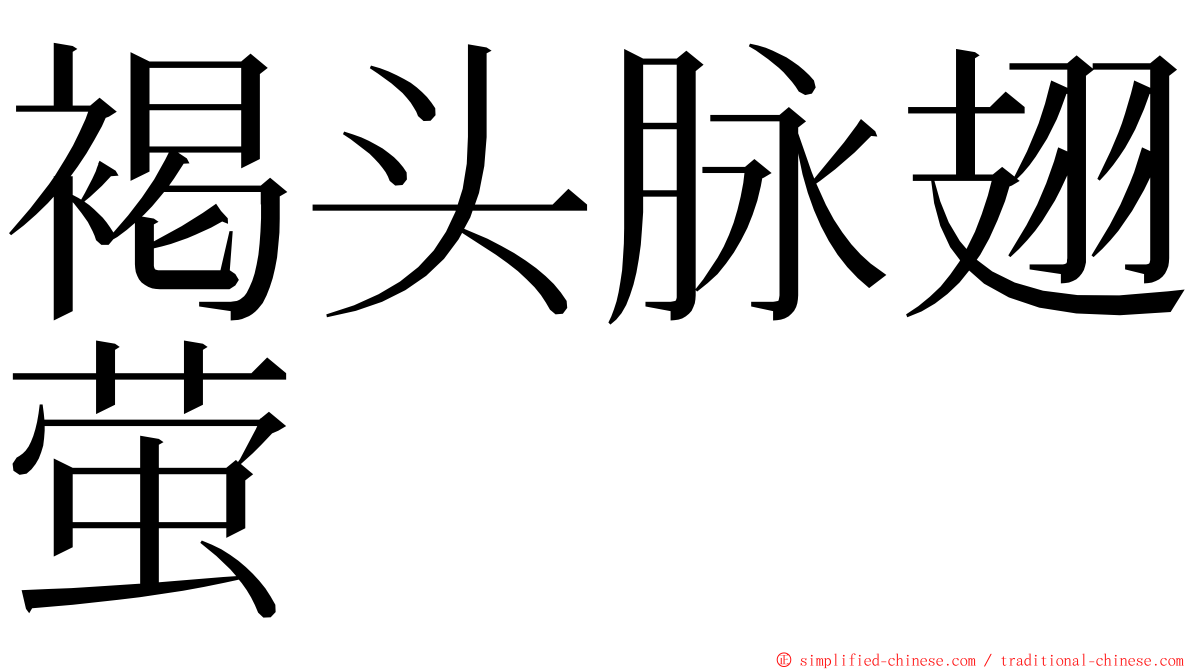 褐头脉翅萤 ming font