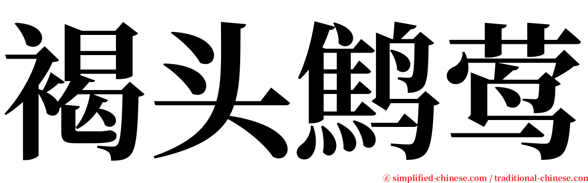 褐头鹪莺 serif font