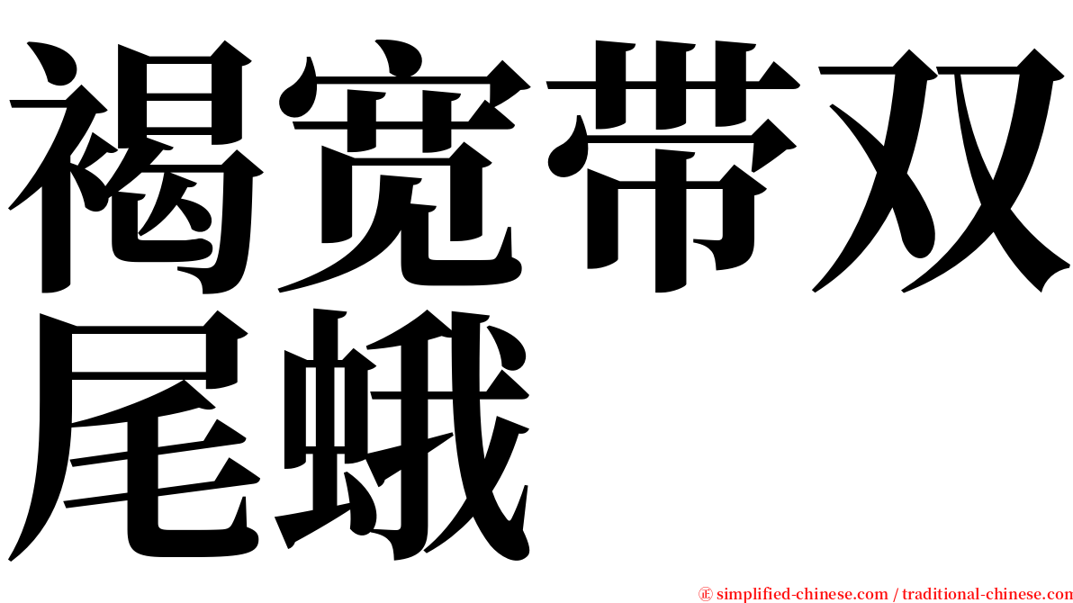 褐宽带双尾蛾 serif font