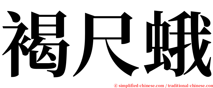 褐尺蛾 serif font