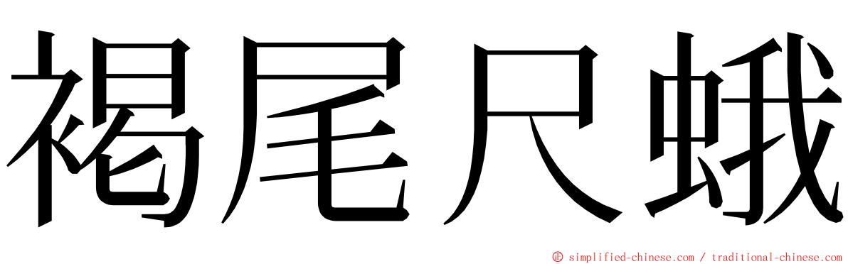 褐尾尺蛾 ming font