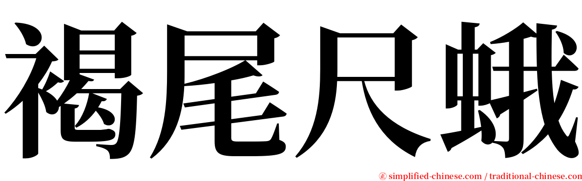 褐尾尺蛾 serif font