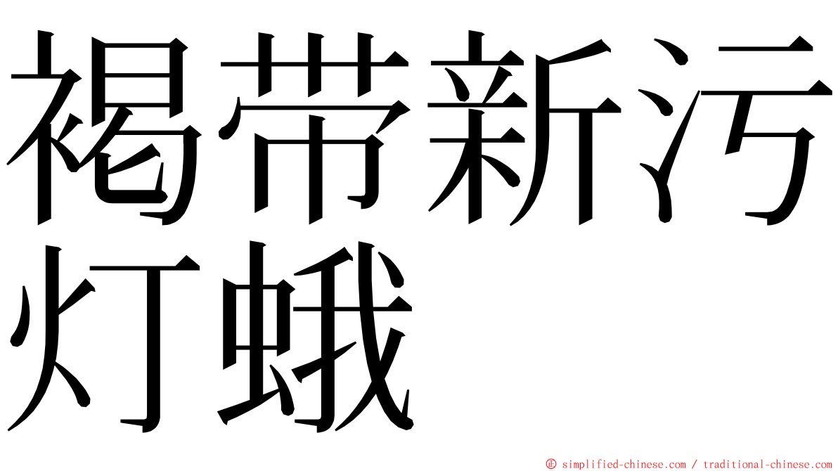 褐带新污灯蛾 ming font