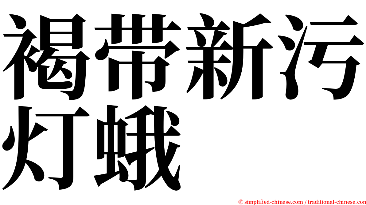 褐带新污灯蛾 serif font