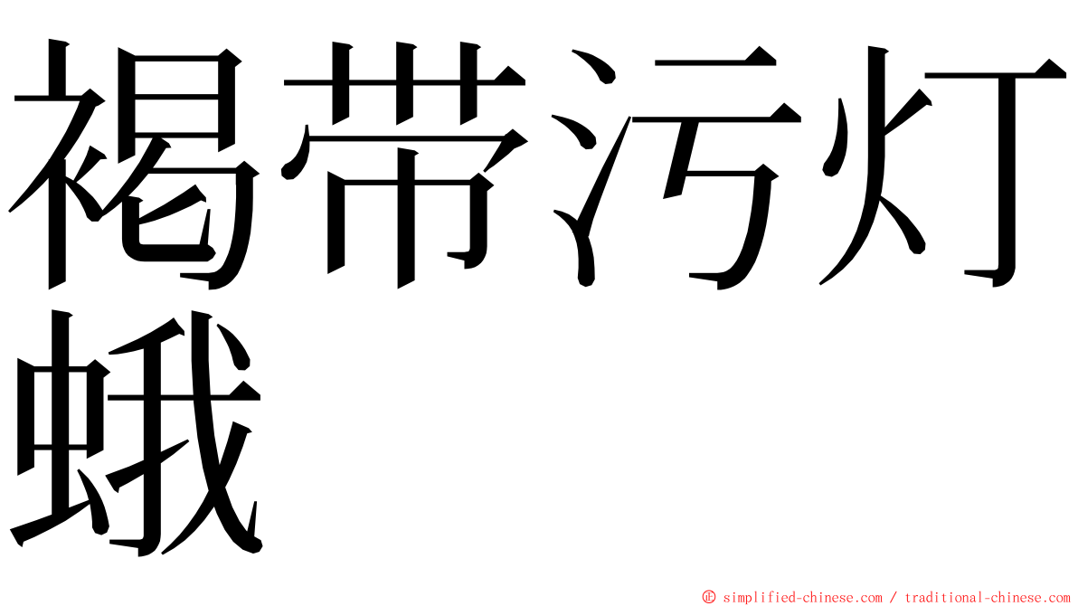 褐带污灯蛾 ming font