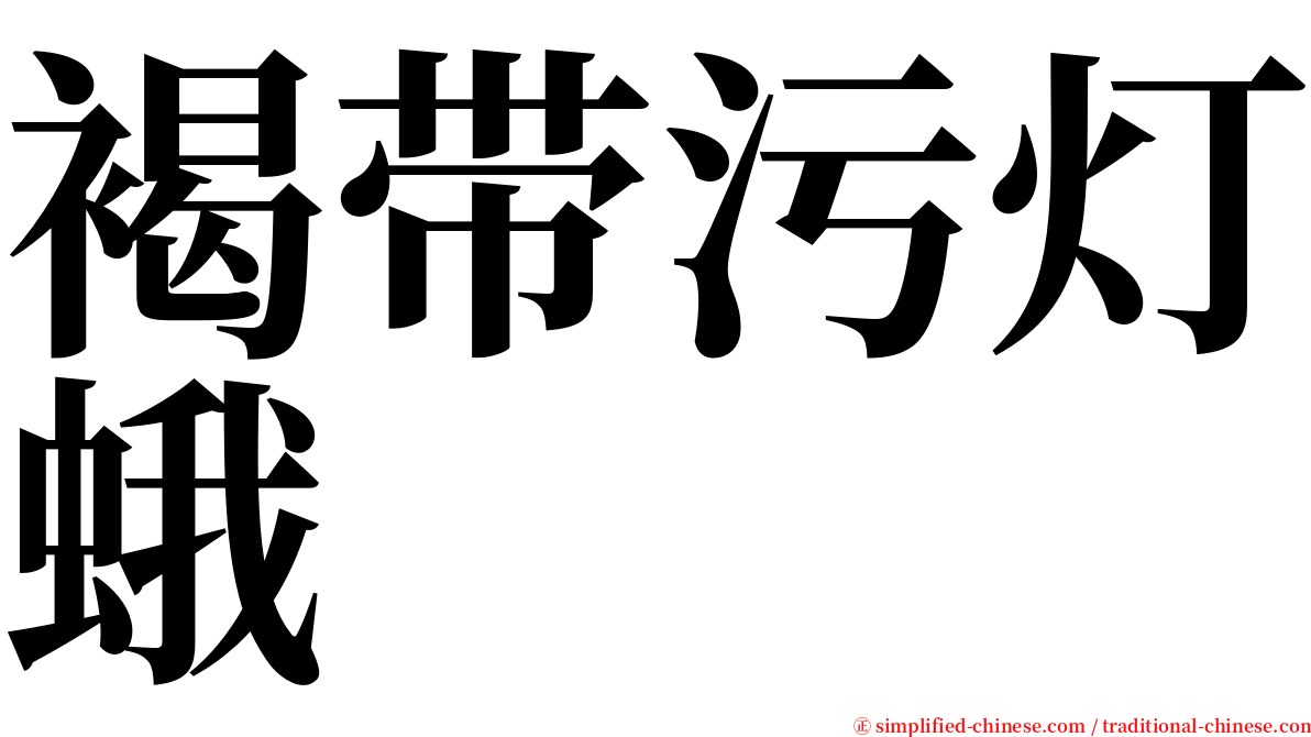 褐带污灯蛾 serif font