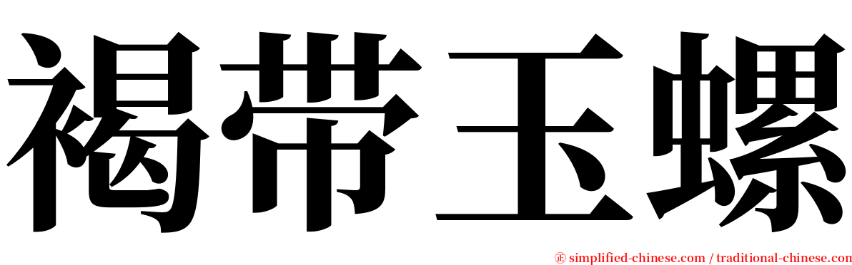 褐带玉螺 serif font