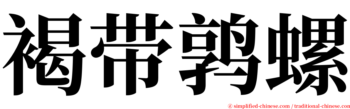 褐带鹑螺 serif font