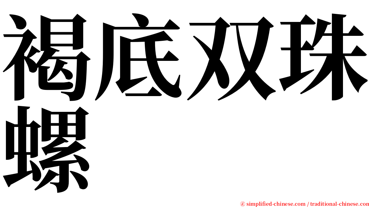 褐底双珠螺 serif font