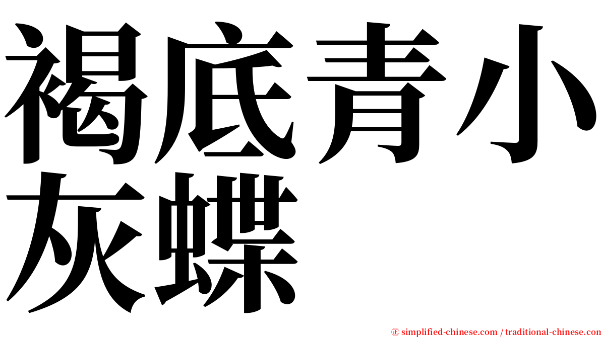 褐底青小灰蝶 serif font