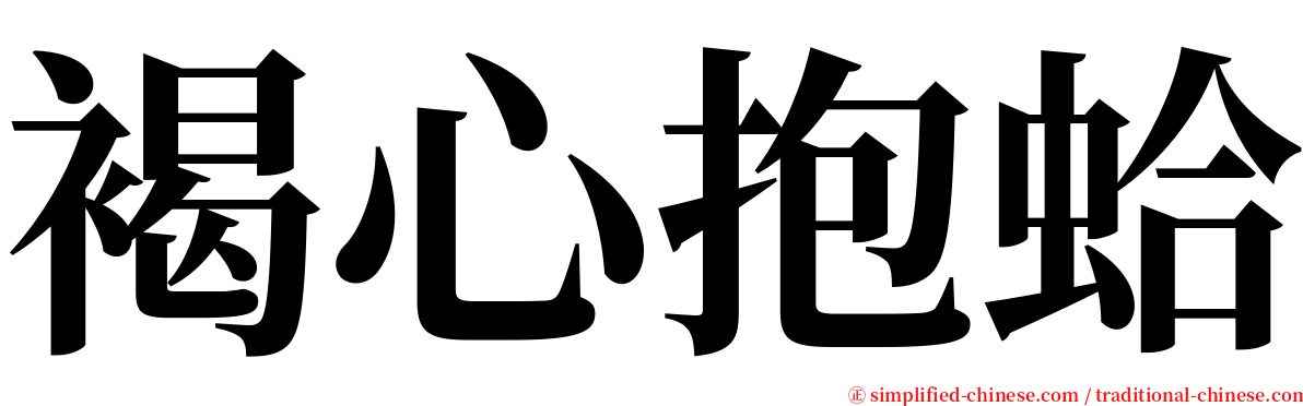 褐心抱蛤 serif font