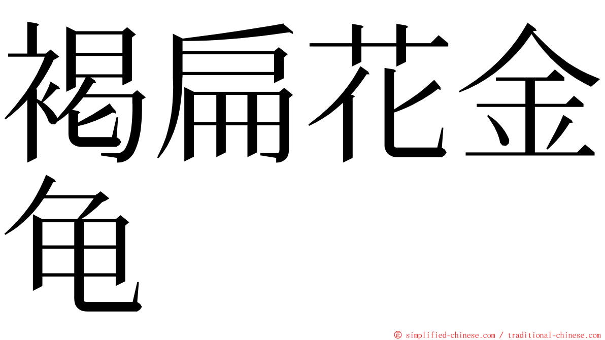 褐扁花金龟 ming font