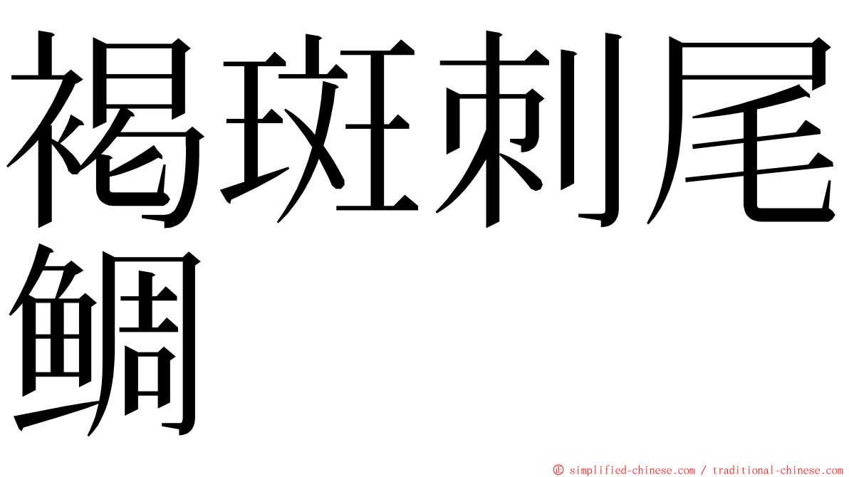 褐斑刺尾鲷 ming font