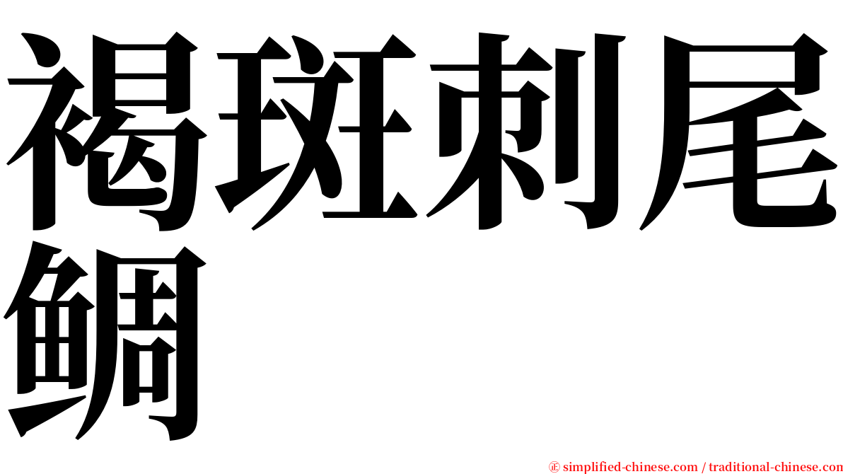 褐斑刺尾鲷 serif font