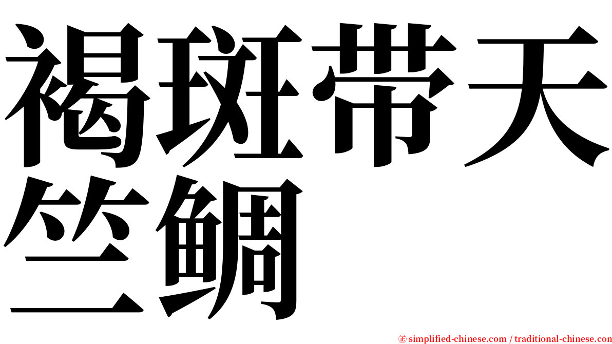 褐斑带天竺鲷 serif font