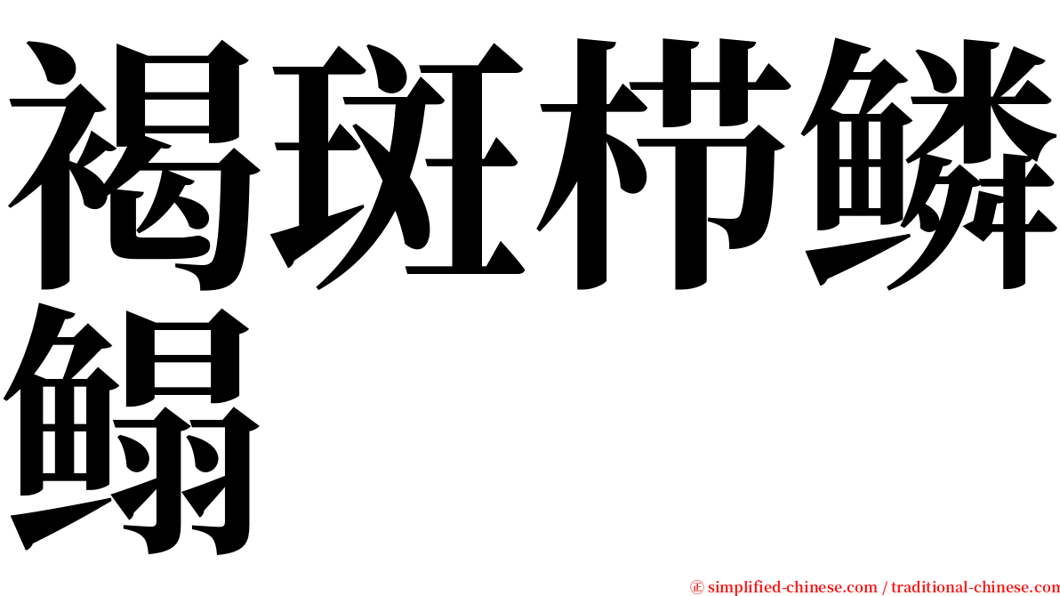 褐斑栉鳞鳎 serif font