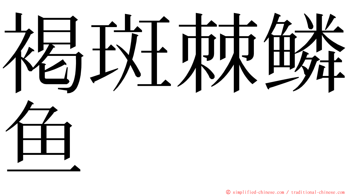 褐斑棘鳞鱼 ming font